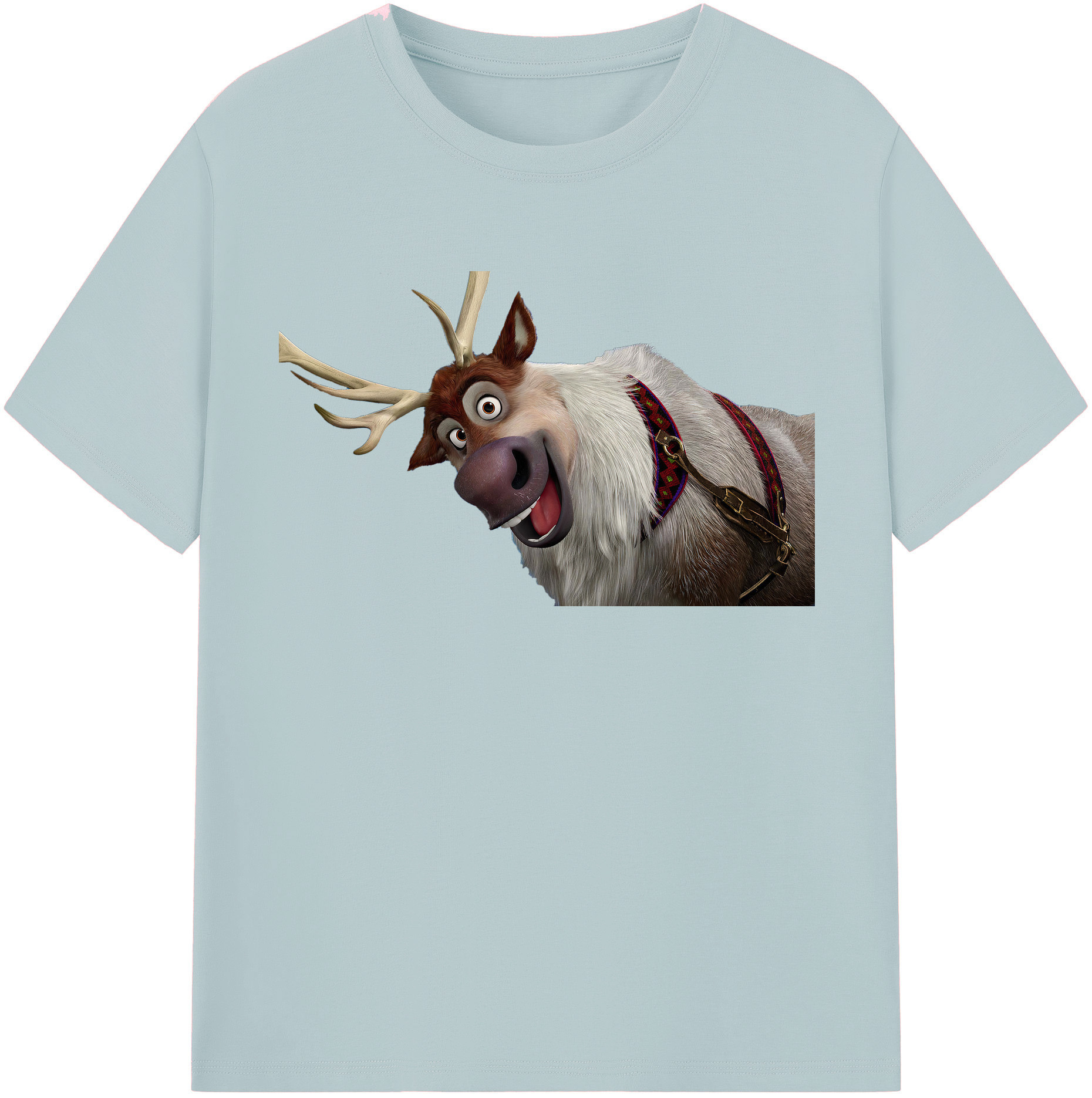 （画像用） アナと雪の女王 アンナ エルサ Frozen Anna Elsa 綿100％半袖Tシャツ（フロントプリント）